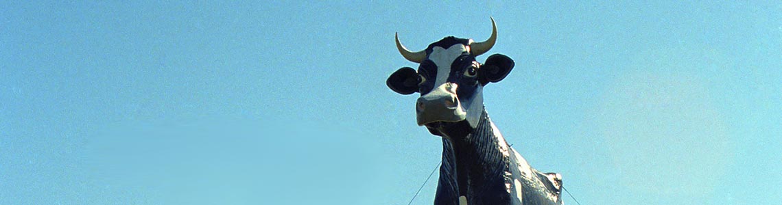 Salem Sue - World’s Largest Holstein Cow in ND