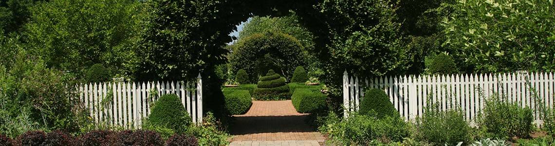 Garden in Ohio 