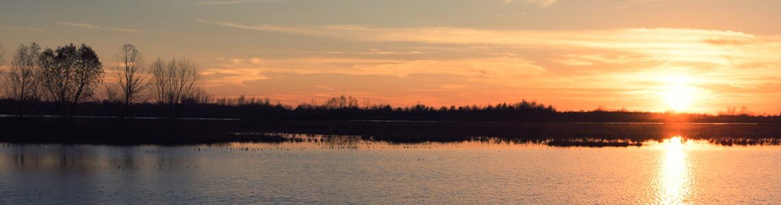Swamp in Oklahoma
