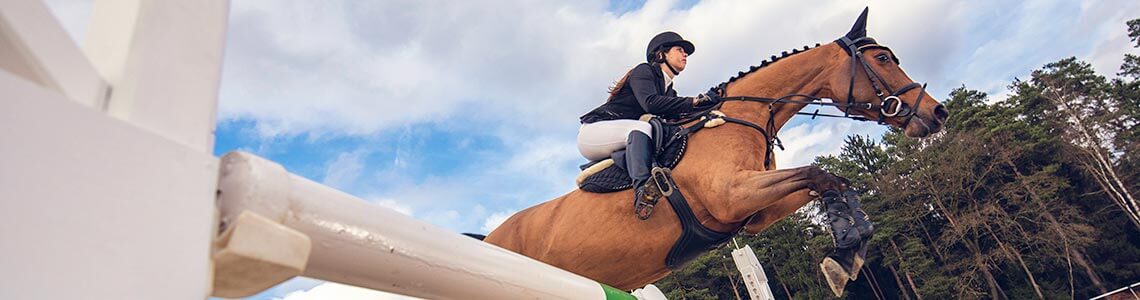 Horse Show in Pennsylvania