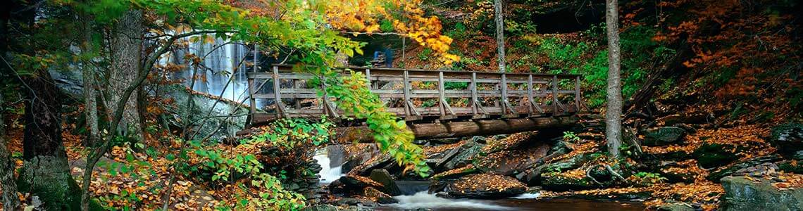 Ricketts Glen State Park