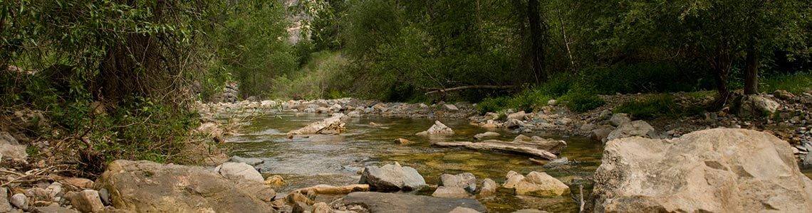 Spearfish Canyon in South Dakota