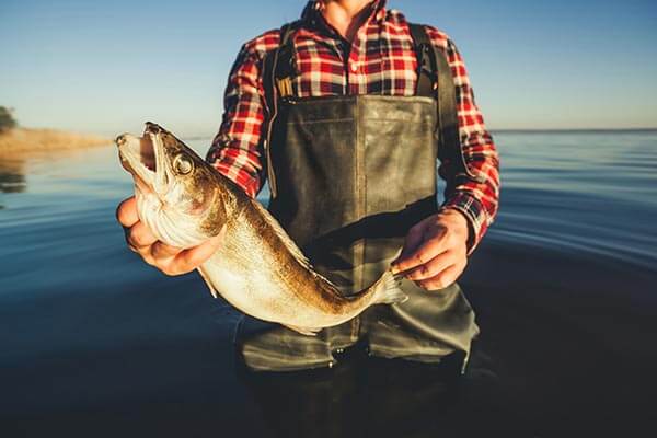Walleye fishing in South Dakota