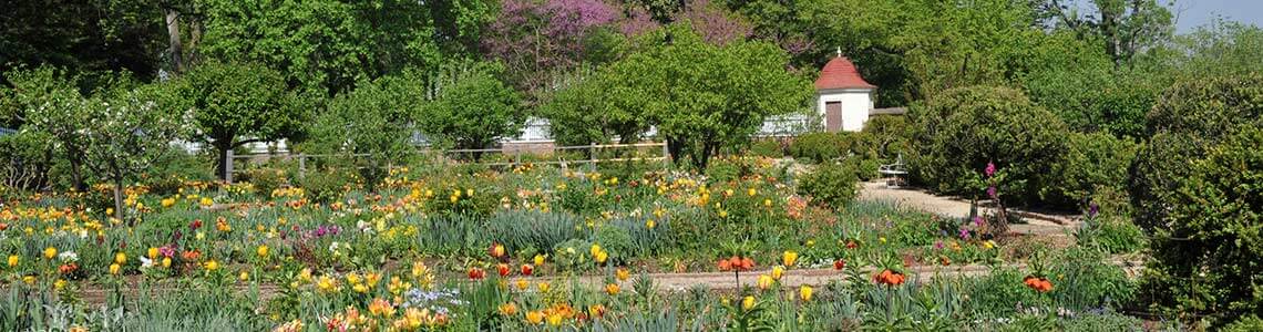 Lower Garden at Mount Vernon Estate and Gardens