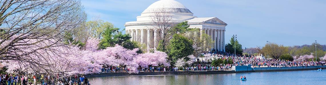 Cherry Blossom Festival in Washington, DC