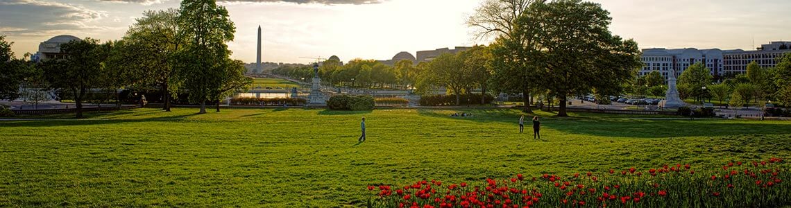 Sunset on a park near Capitol Hill in DC