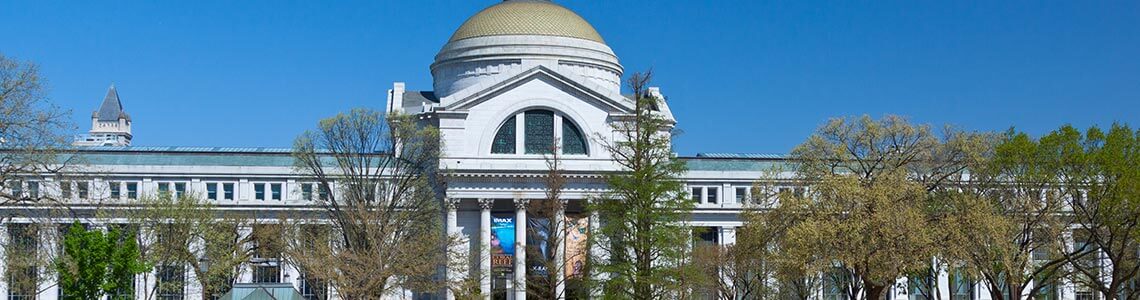 Museum of Natural History in Washington D.C.