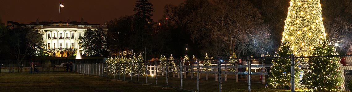 National Christmas Tree in DC
