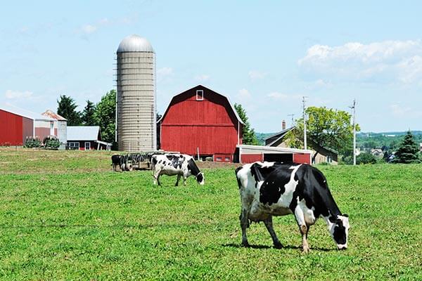 Dairy farm in Wisconsin