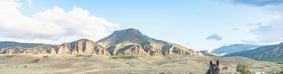Cody, WY, USA