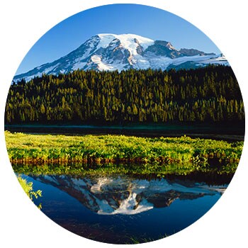 Mt Ranier National Park
