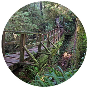 Trail Pacific Rim National Park
