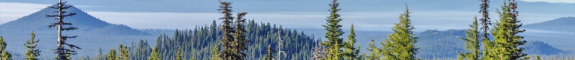 view of northwest mountain tops