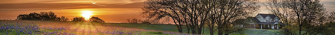 sunset on a field of purple flowers