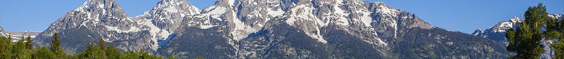 view of snow-capped mountains with green trees