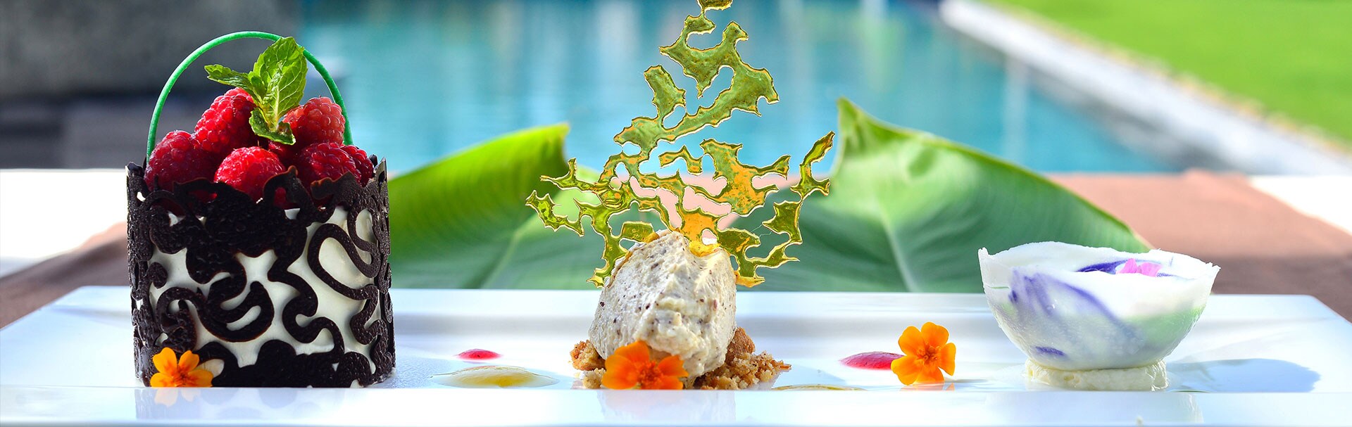 Gourmet dish being served poolside