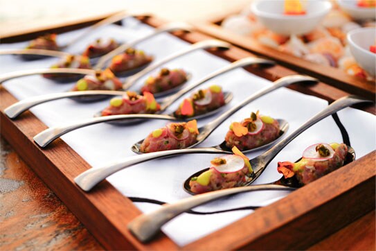 Tasting Spoons